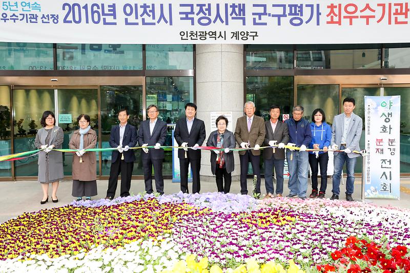 자연미동호회 분재작품전시회 사진