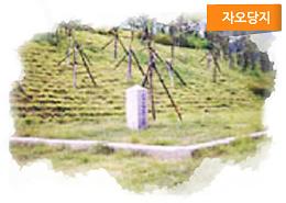 자오당지 사진