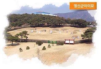 영신군(永新君) 이이(李怡)묘 사진